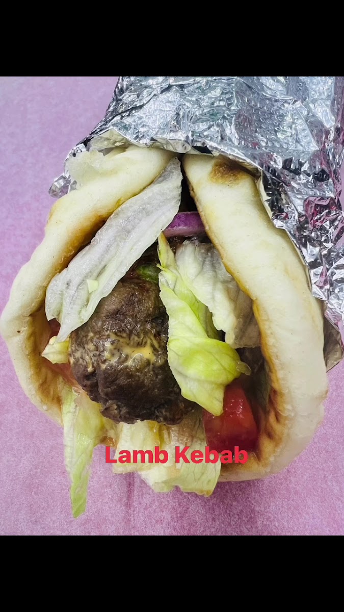 Tawakkul bites Photo 2