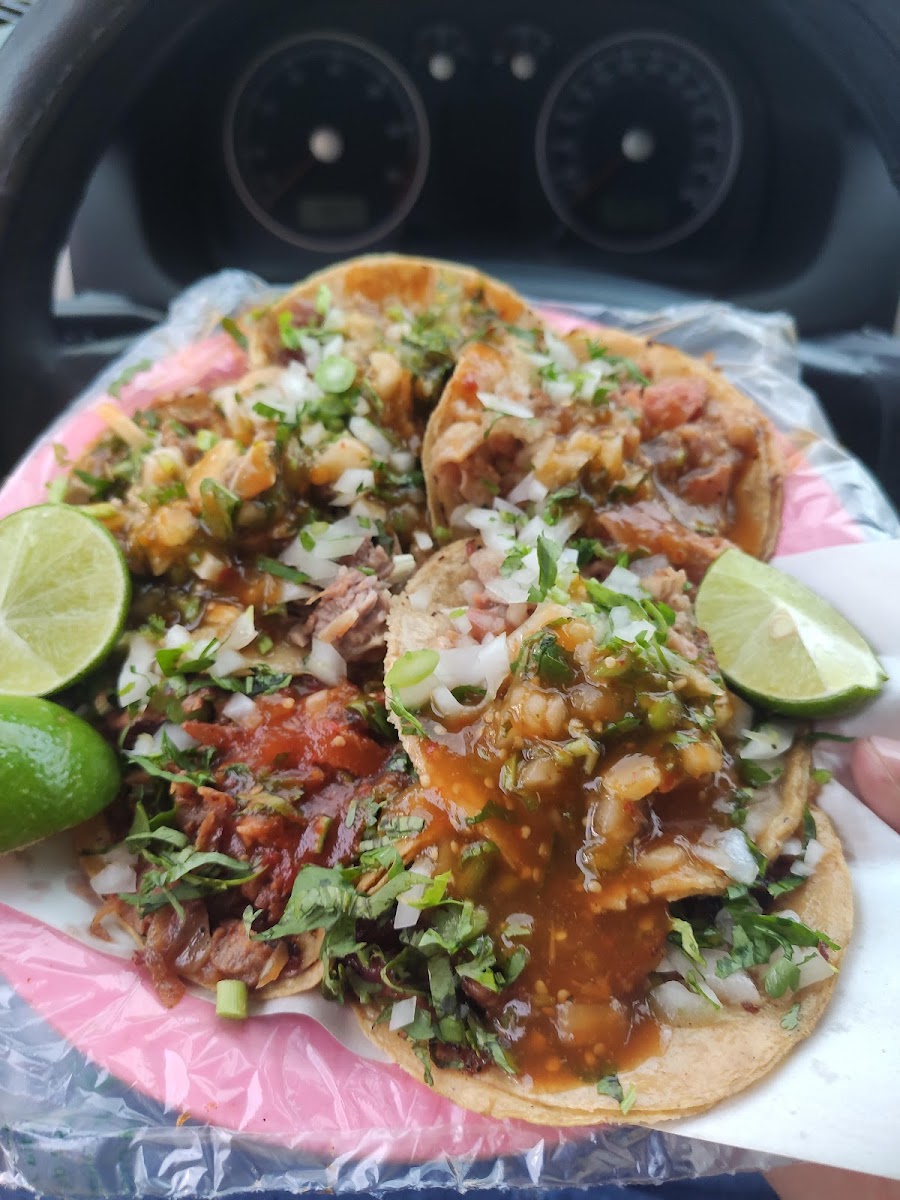 Taqueria Manzanas Photo 3