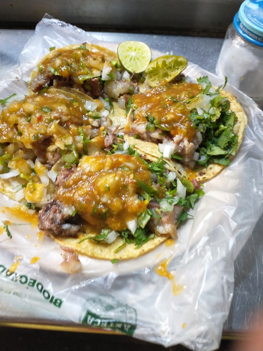 Taqueria Manzanas Photo 7