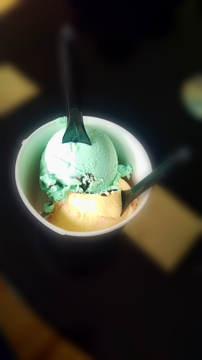 Miele's Gelateria Inverness Photo 7