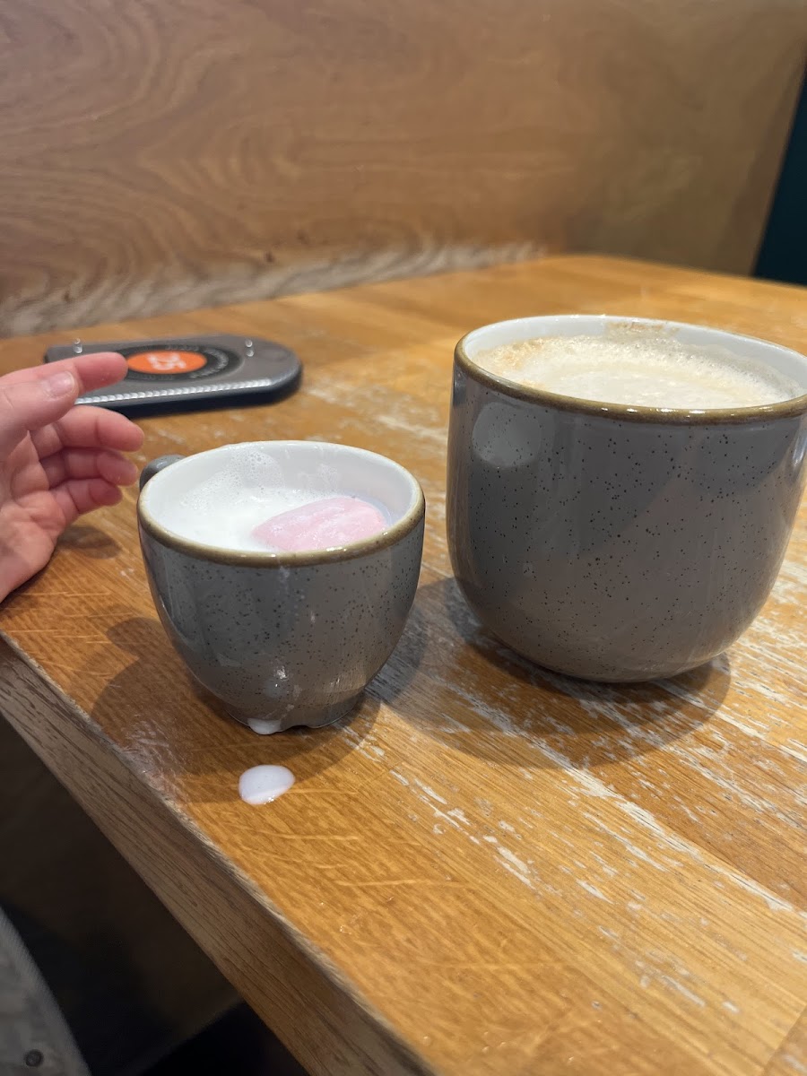 M&S Café Photo 9