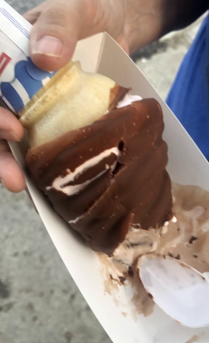 Dairy Cone Photo 10