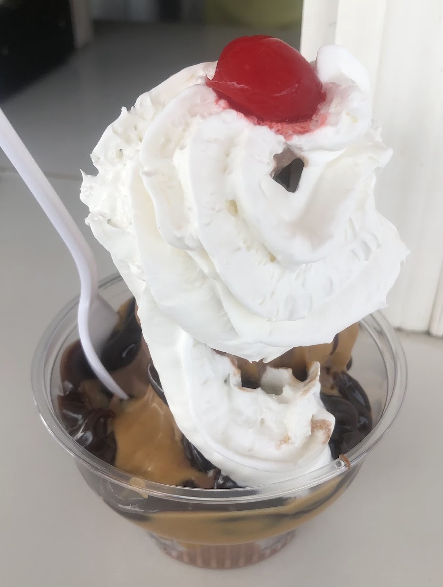 Dairy Cone Photo 5