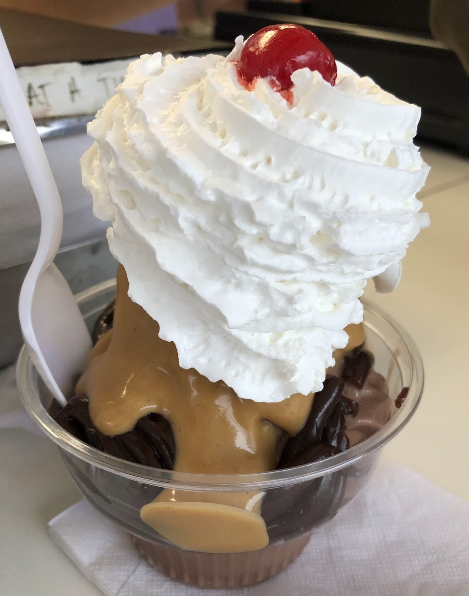 Dairy Cone Photo 9