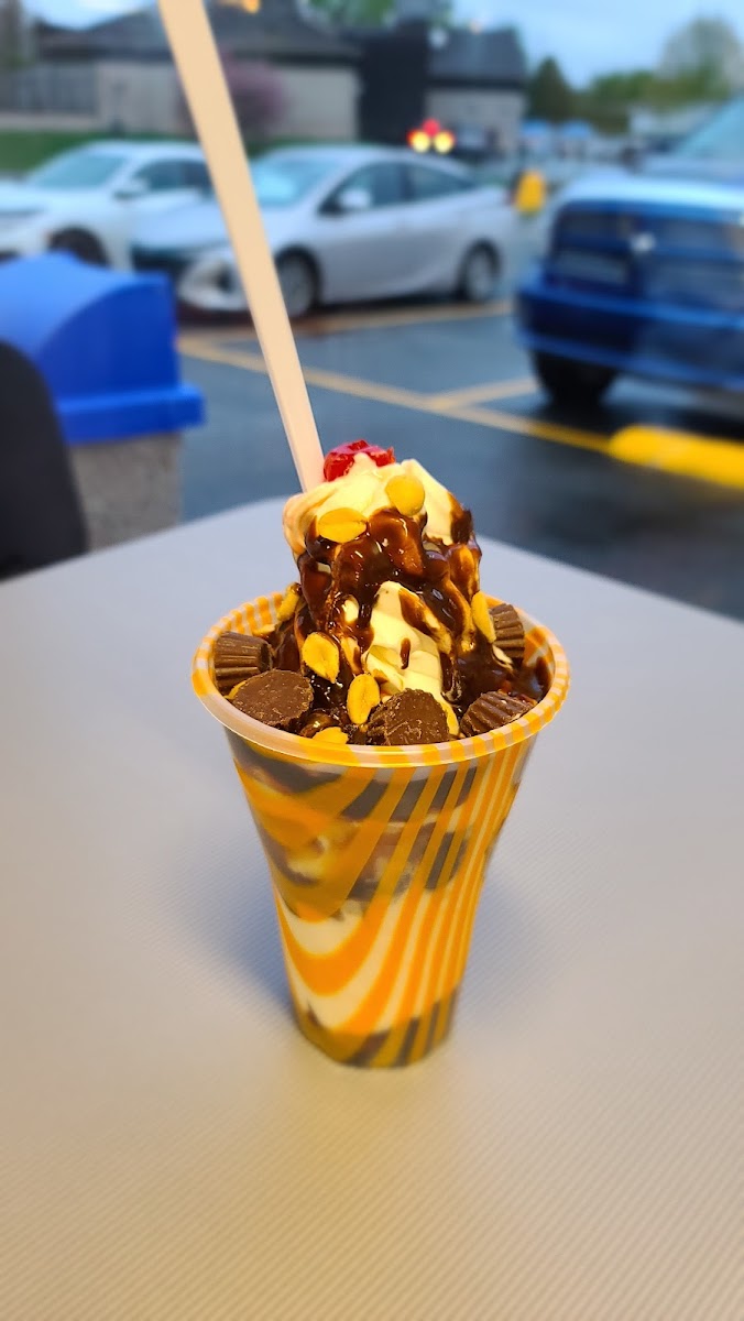 O' Sommet Glacé Photo 9