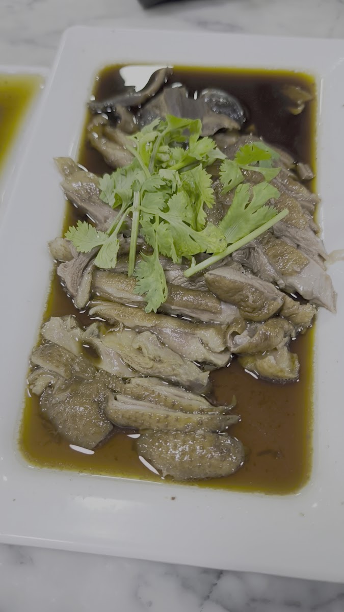 Chua Kim Lee - Din Daeng Goose Photo 2