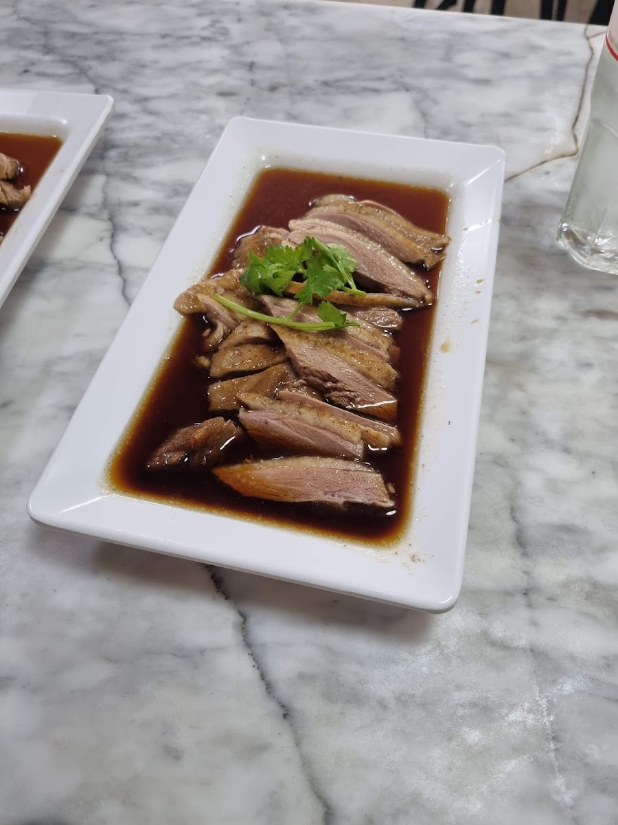 Chua Kim Lee - Din Daeng Goose Photo 5