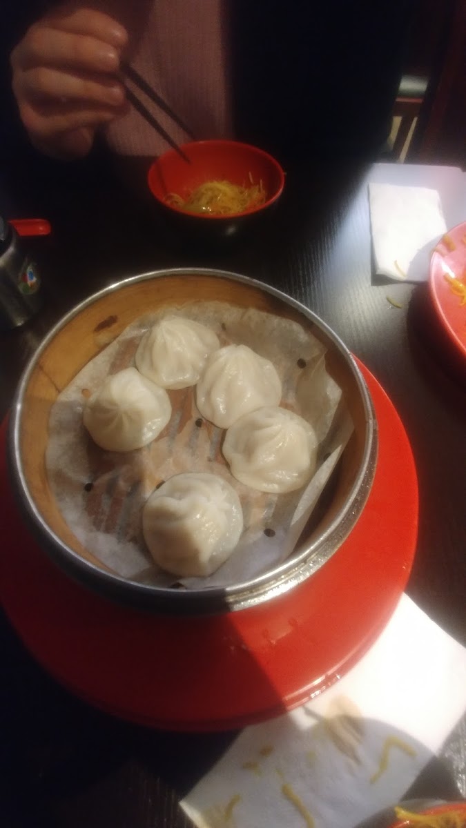 Yang Yang Noodle & Dumpling Photo 10