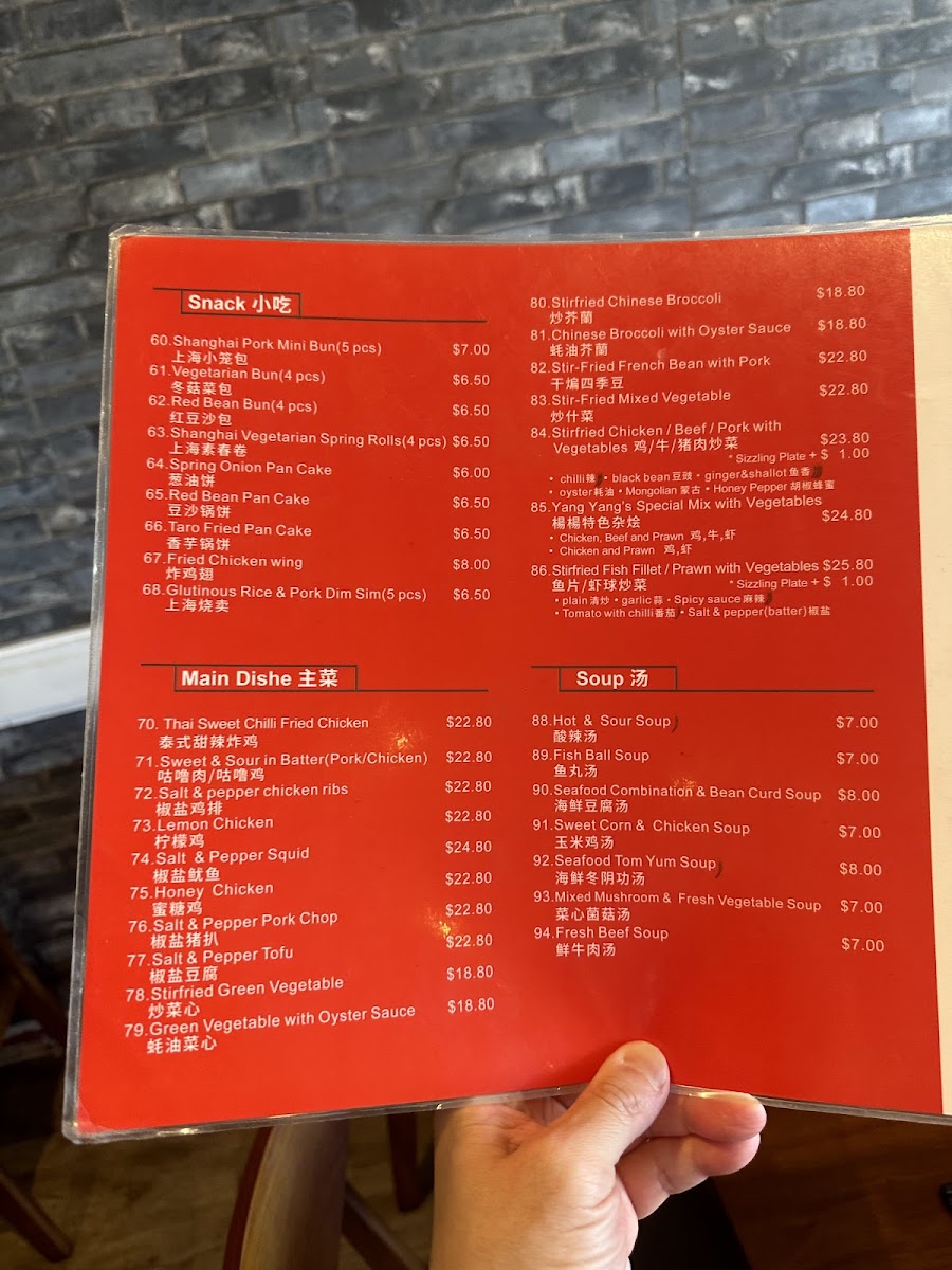 Yang Yang Noodle & Dumpling Photo Menu 4