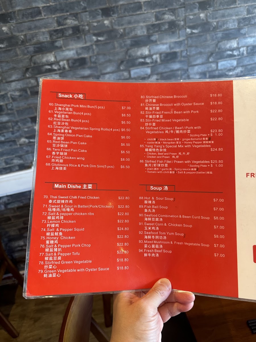Yang Yang Noodle & Dumpling Photo Menu 6