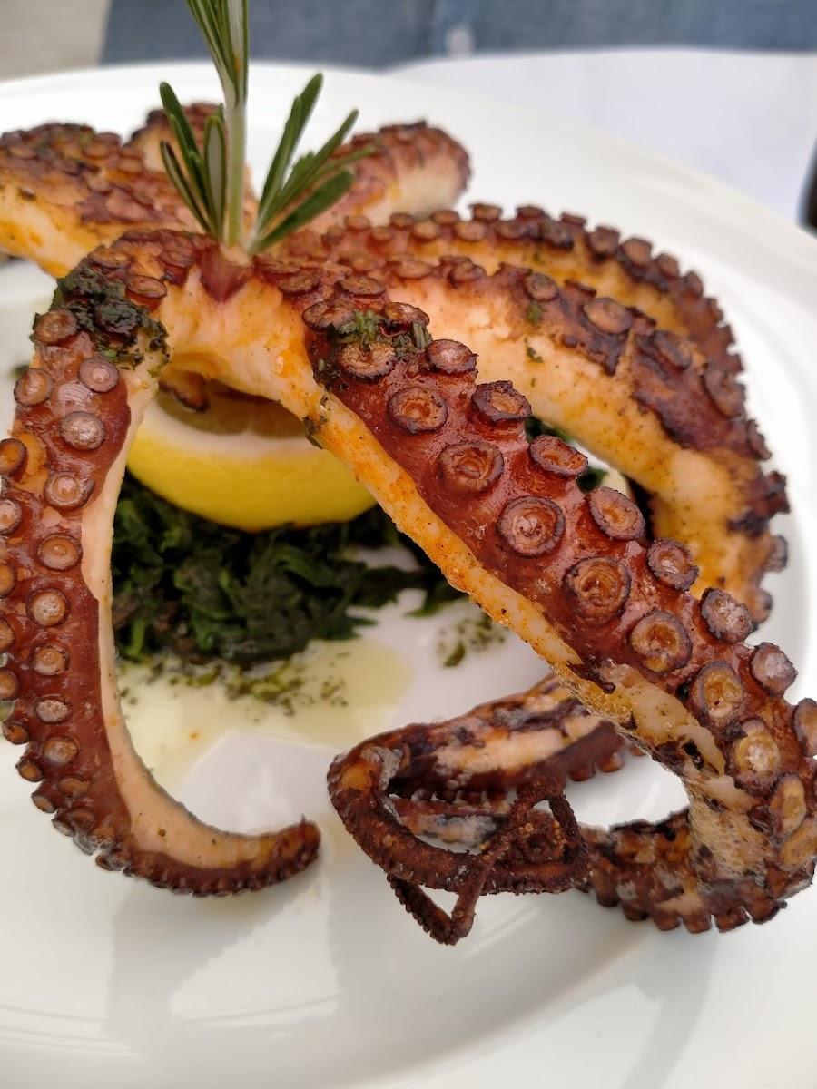 Ristorante Amalfi Photo 6