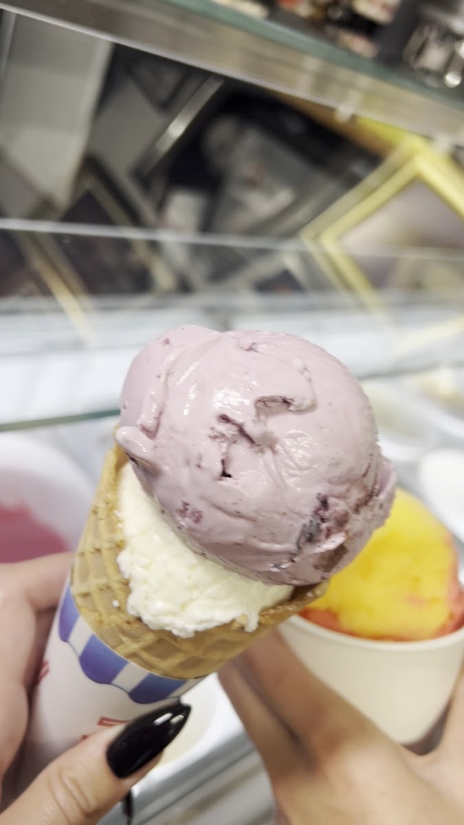 The Hollywood Ice Cream Co. Photo 2
