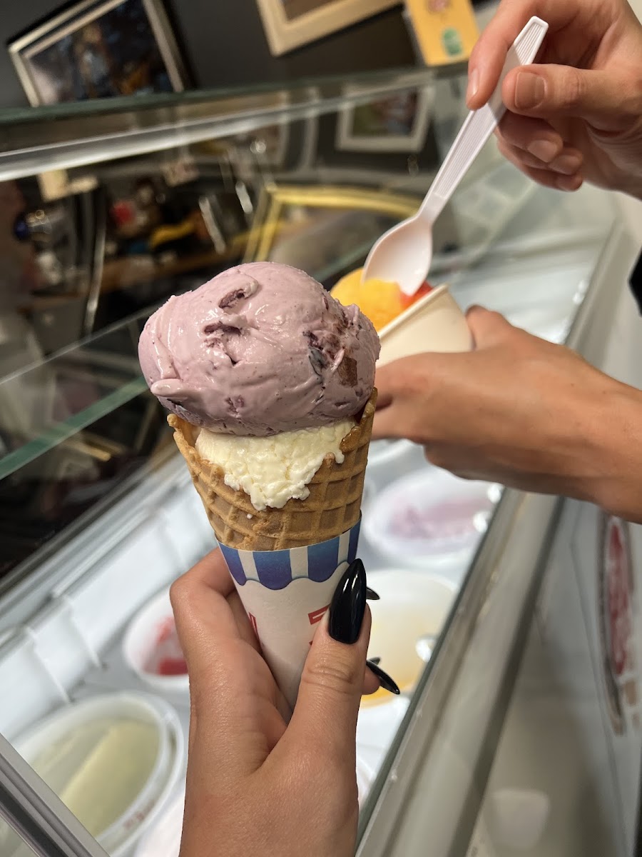 The Hollywood Ice Cream Co. Photo 7
