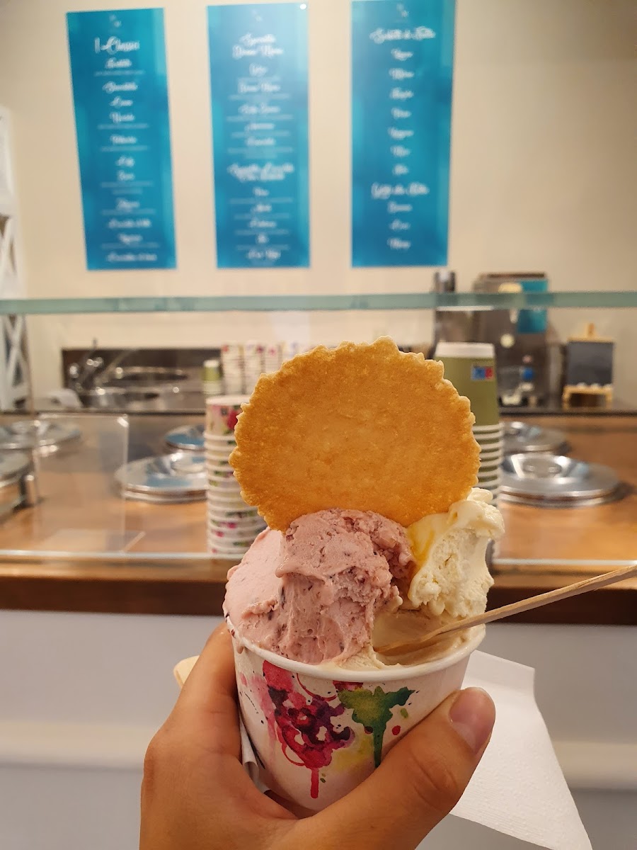 Donna Maria Gelateria Artigianale Photo 5