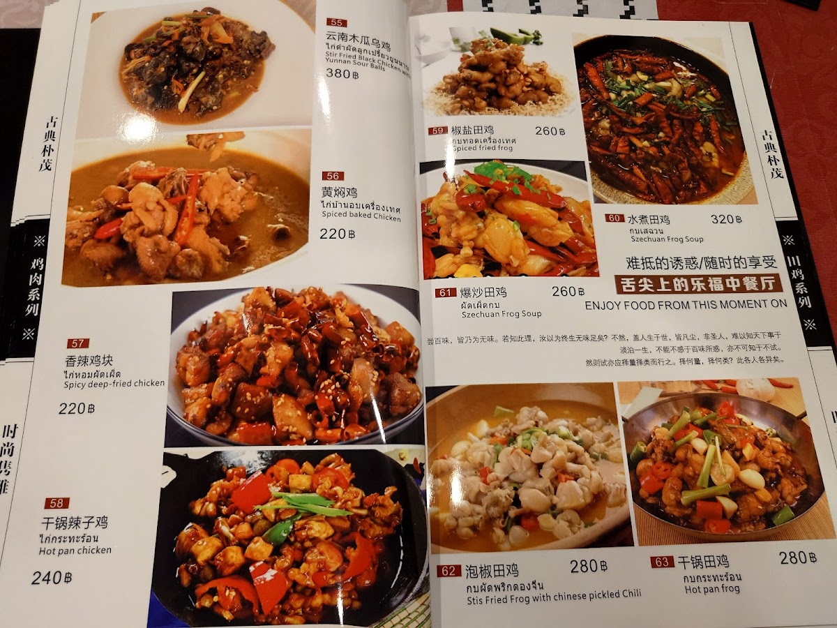 LERT FU CHINESE FOOD 乐福中餐厅 Photo Menu 6