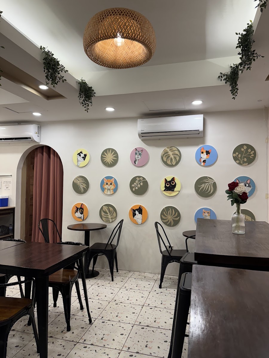 Toyo Café