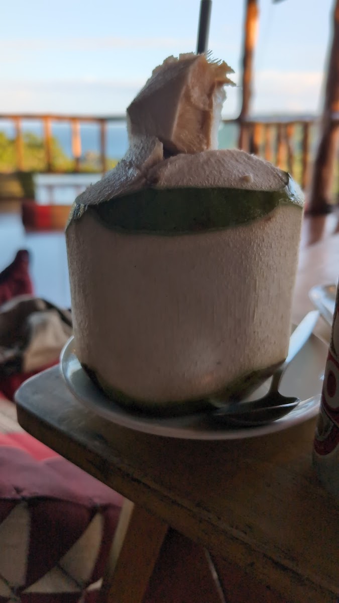 Tree House Cafe Photo 7