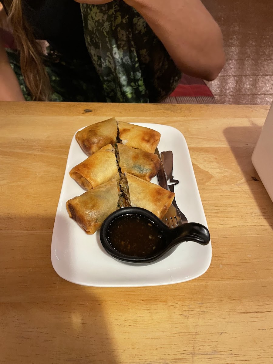 Tree House Cafe Photo 9