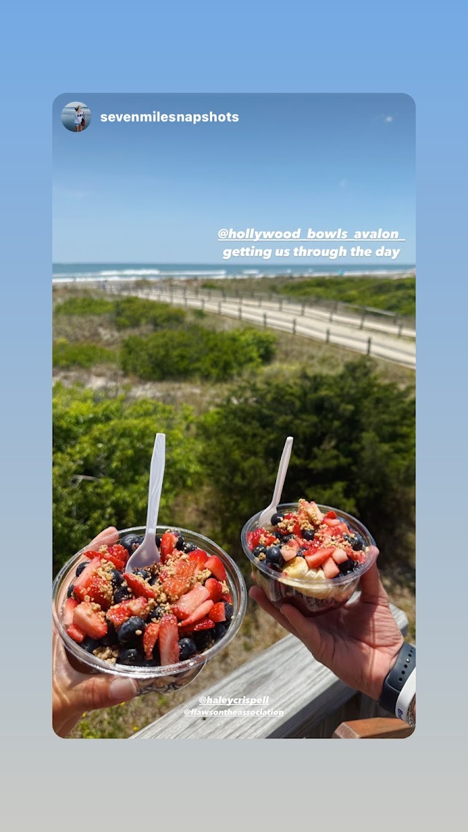 Hollywood Bikes &. Bowls Avalon ⭐⭐⭐⭐ Photo 5
