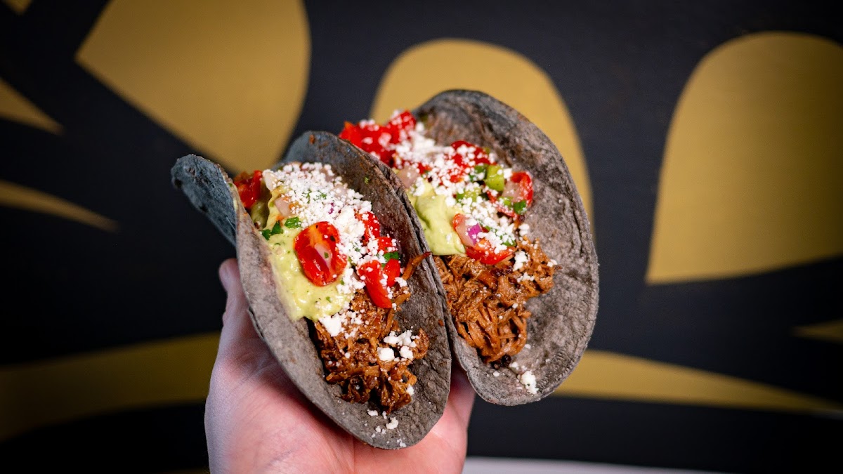 Primal Taco Photo 2