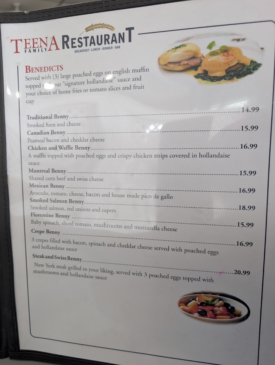Teena Family Restaurant Photo Menu 1