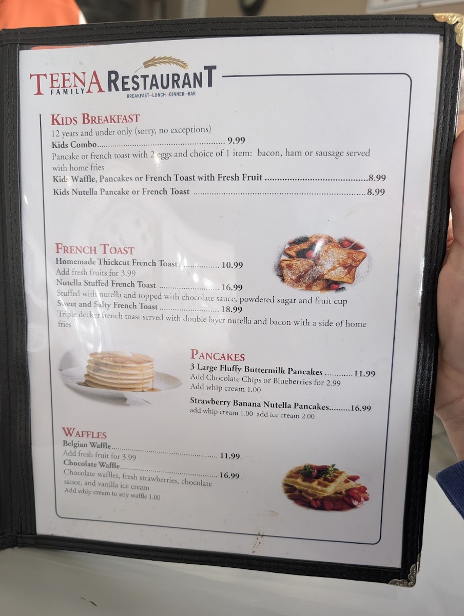 Teena Family Restaurant Photo Menu 2