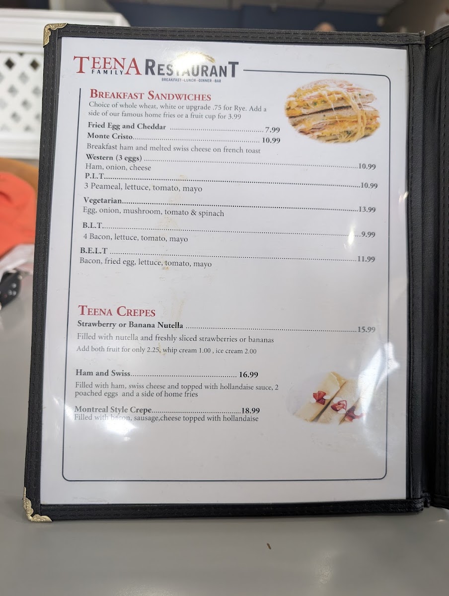 Teena Family Restaurant Photo Menu 5
