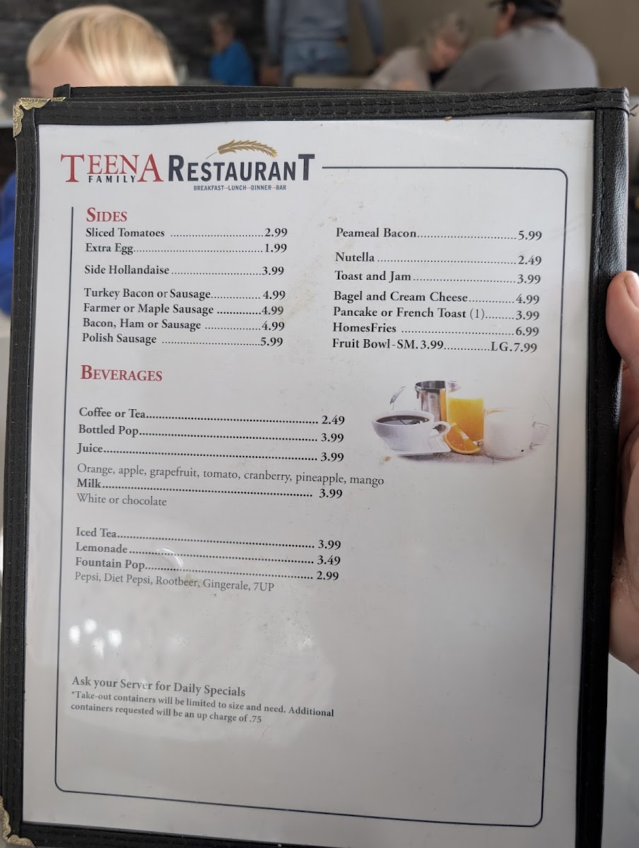Teena Family Restaurant Photo Menu 6