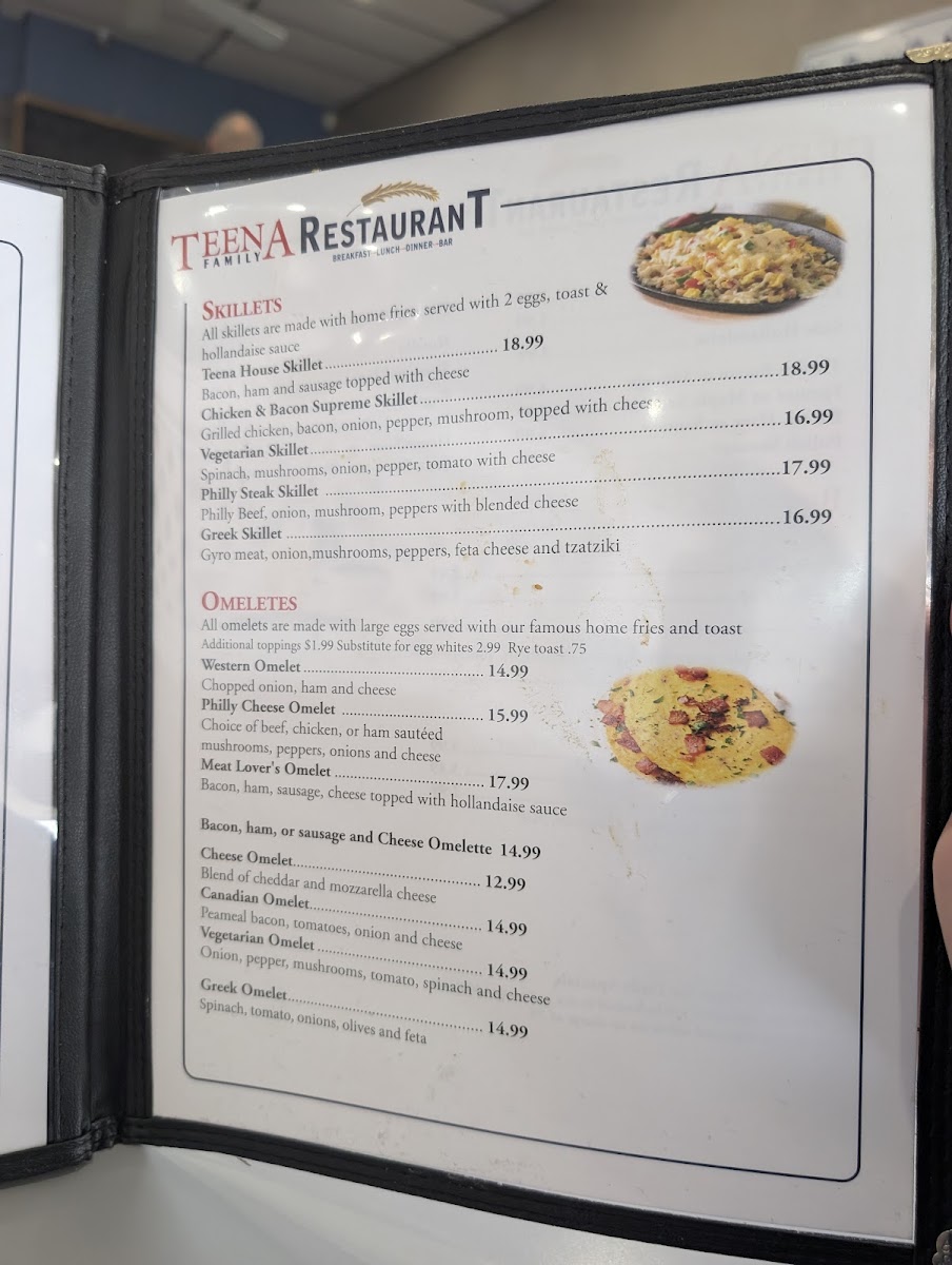 Teena Family Restaurant Photo Menu 7