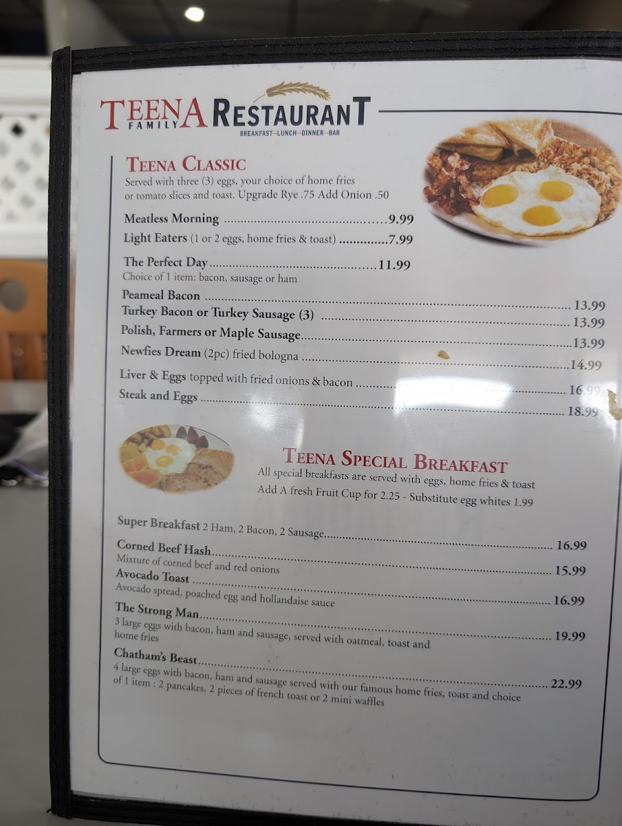 Teena Family Restaurant Photo Menu 8