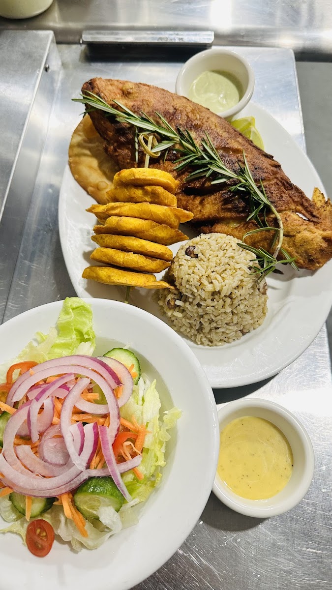 El Patio Dominican Restaurant Photo 10