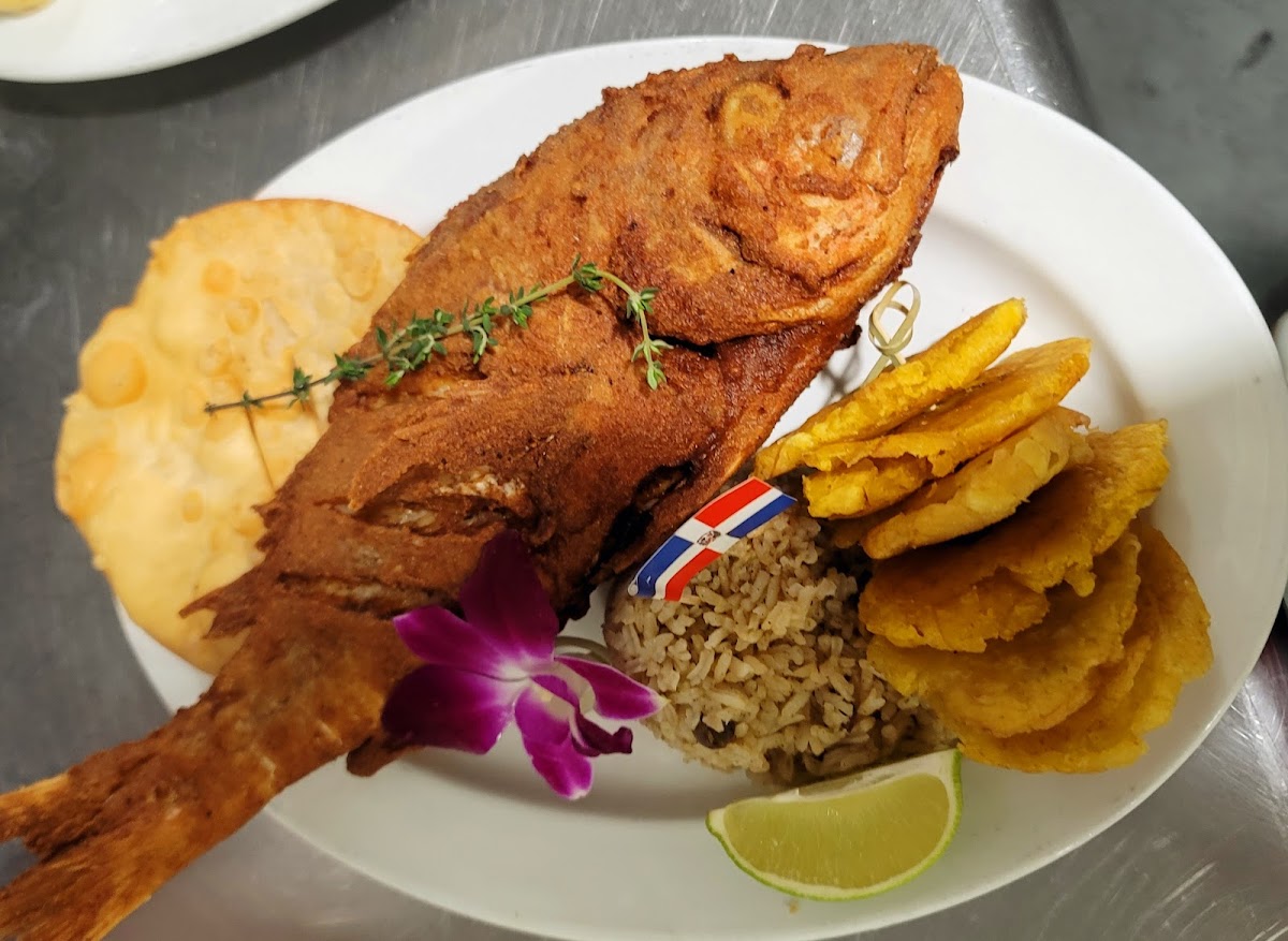 El Patio Dominican Restaurant Photo 4
