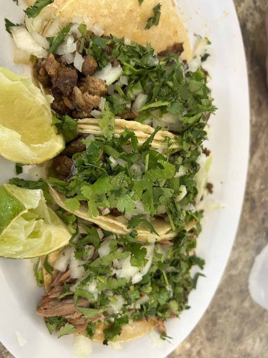 Salinas Authentic Mexican Food & Taqueria Photo 10