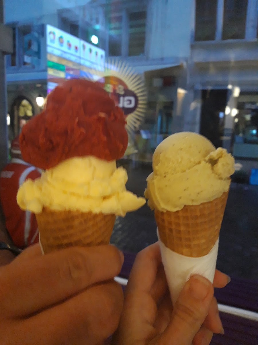 El Bertin Glacé Photo 5