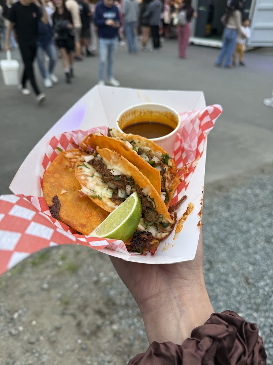 ponchos tacos Photo 6