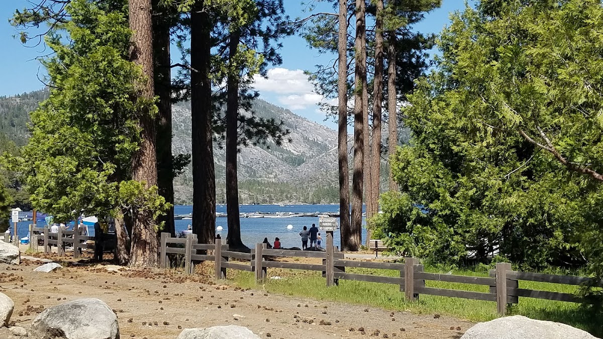 Pinecrest Snack Bar Photo 6