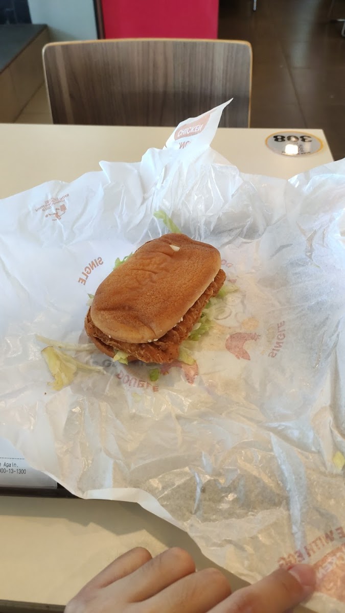McDonald's Underwater World Langkawi Photo 9