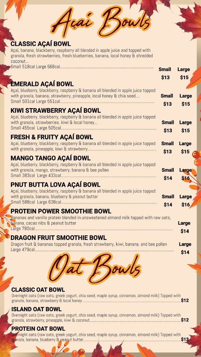 Fresh Blends Photo Menu 2