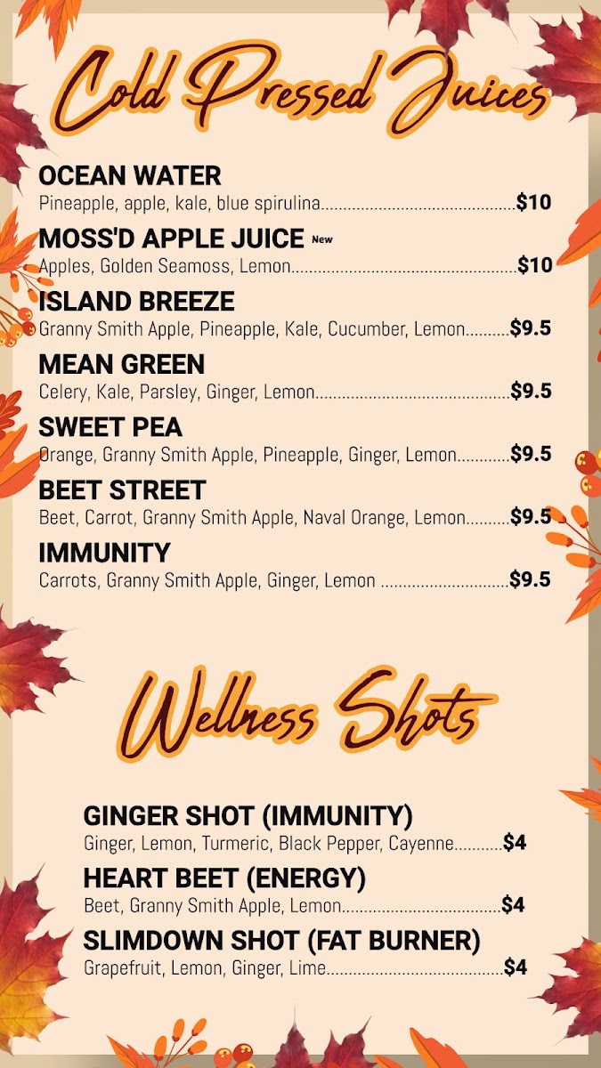 Fresh Blends Photo Menu 4