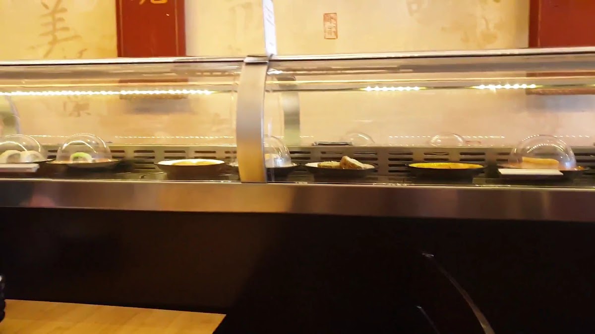 Sushi - Running Photo 2