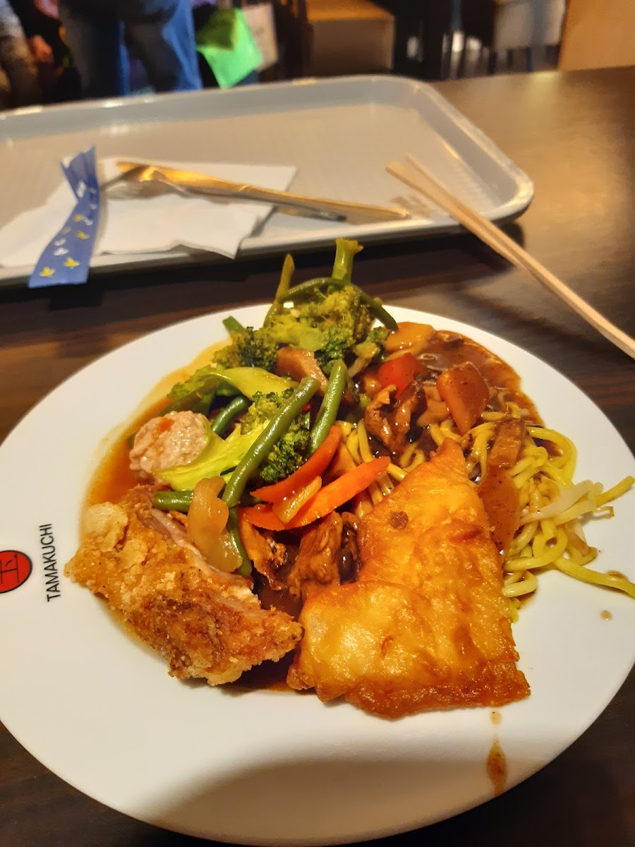 Sushi - Running Photo 5