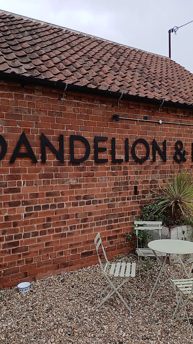 Dandelion and Duck Photo 2