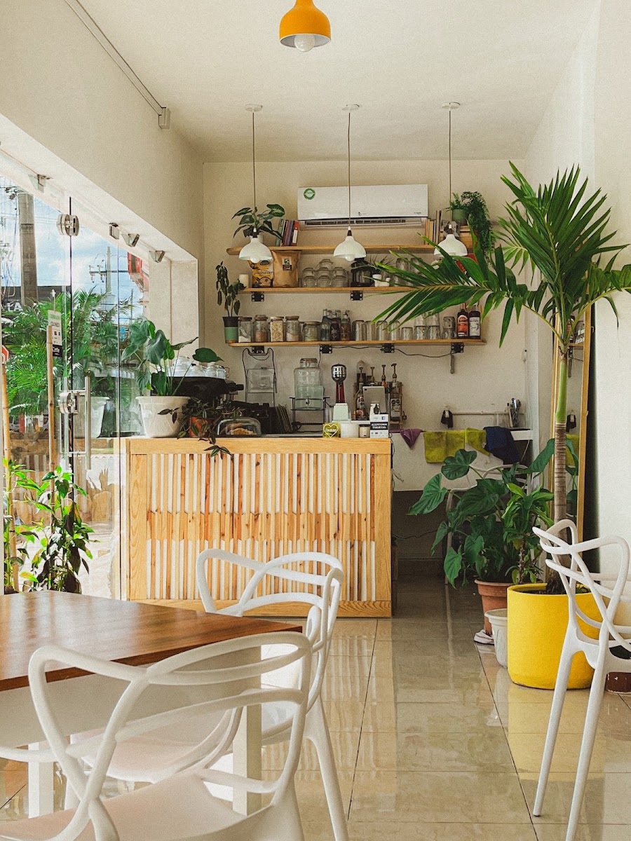 Tŷ Café Avenida Yucatán Photo 7