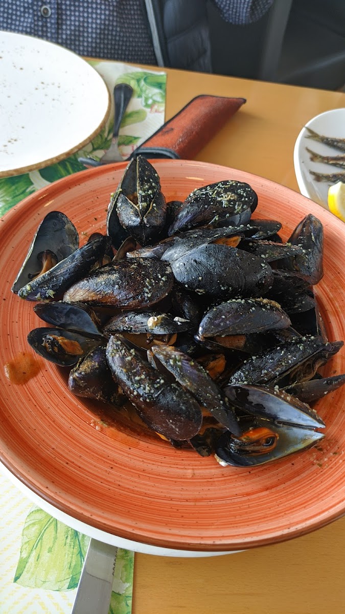Restaurant Cal Tony Blanes Photo 6