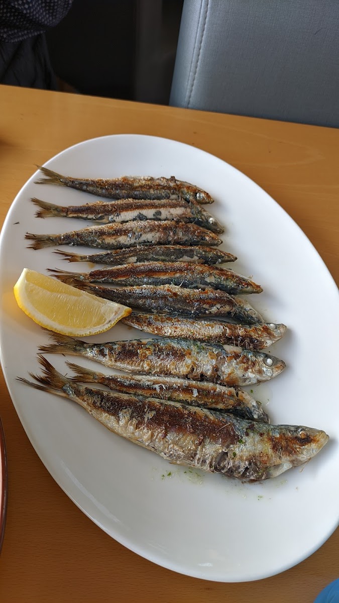 Restaurant Cal Tony Blanes Photo 9