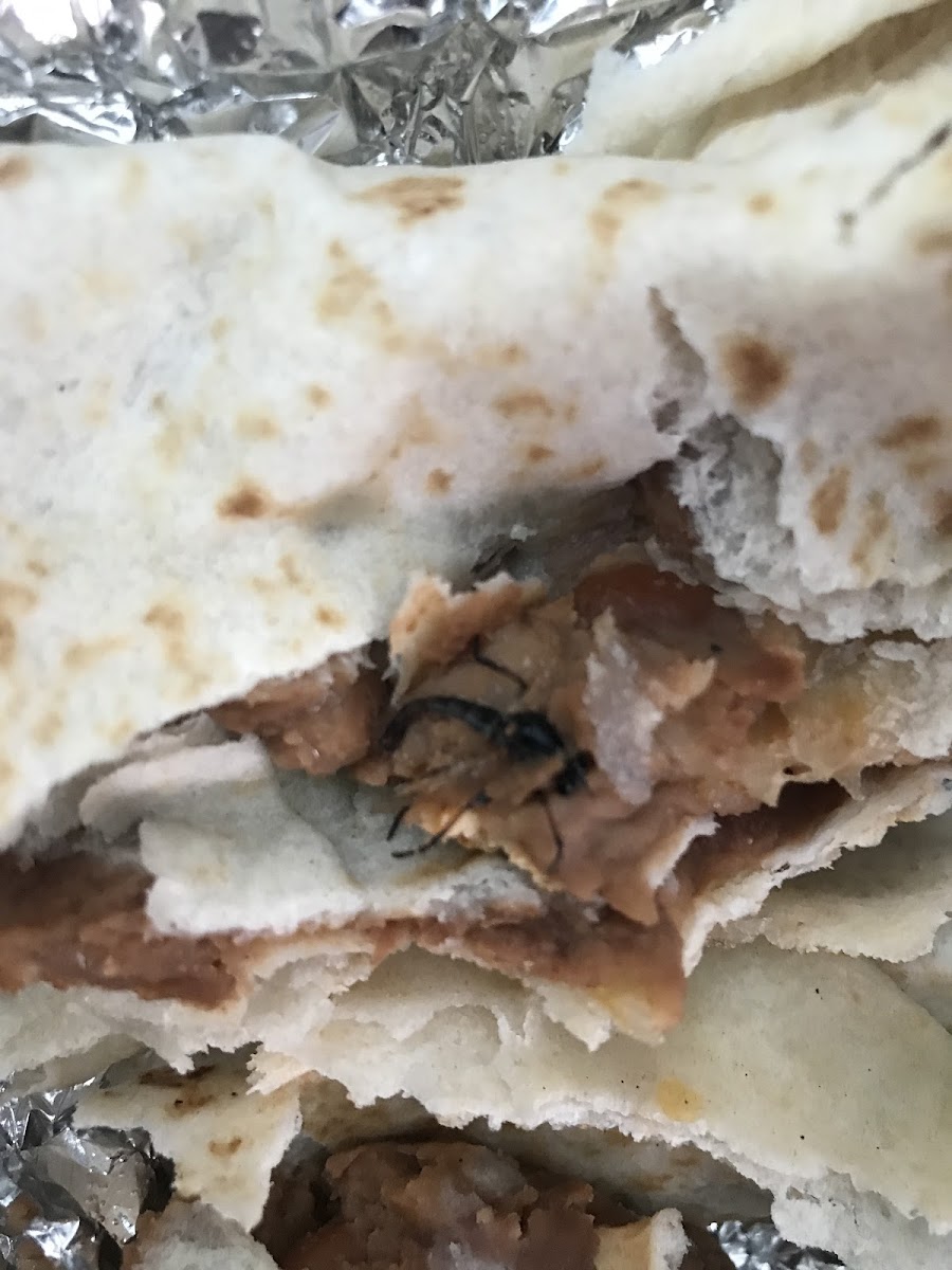 Super Burritos Camargo Photo 8