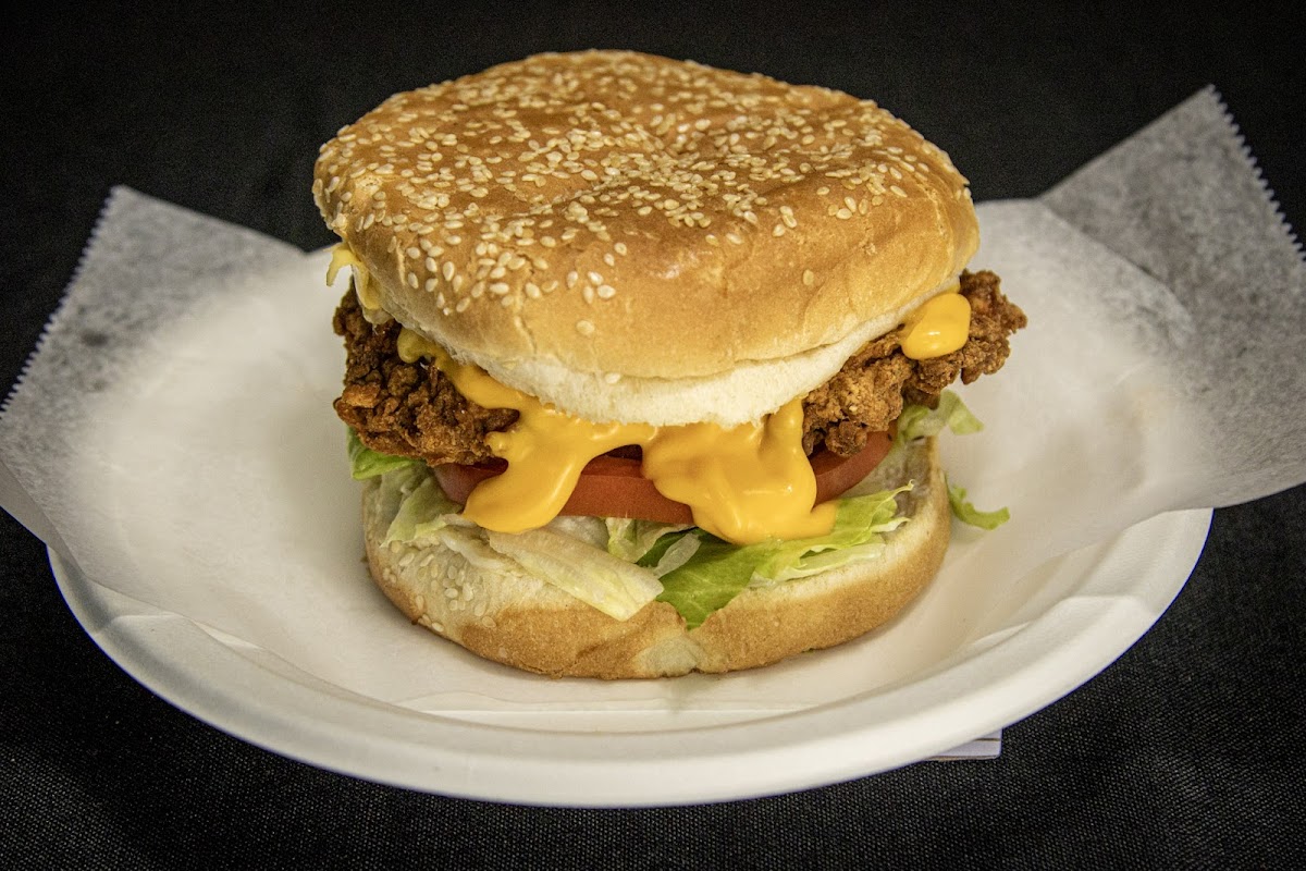 Kabab Platter & Burger Photo 3