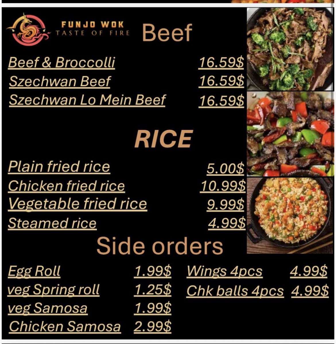 Funjo wok Photo Menu 4
