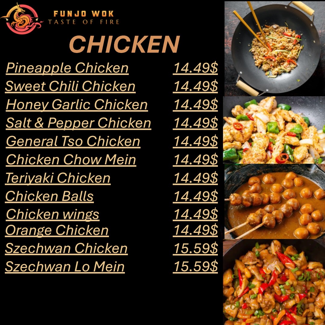 Funjo wok Photo Menu 5