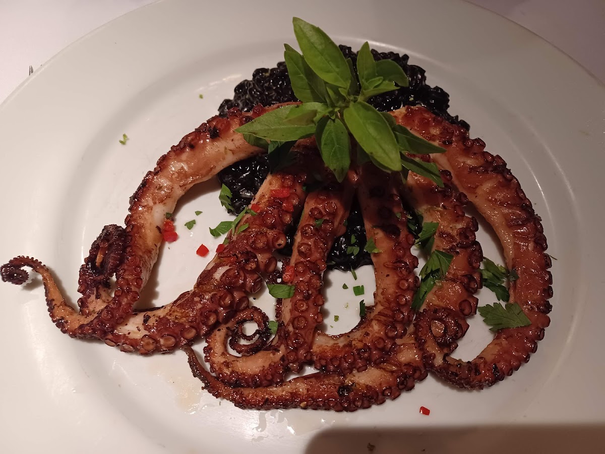 Anna Ristorante Photo 10